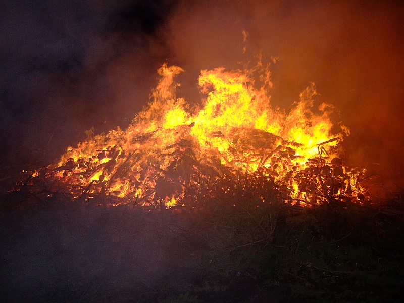 MVB - Funkenfeuer, 01.03.2009 (12).JPG